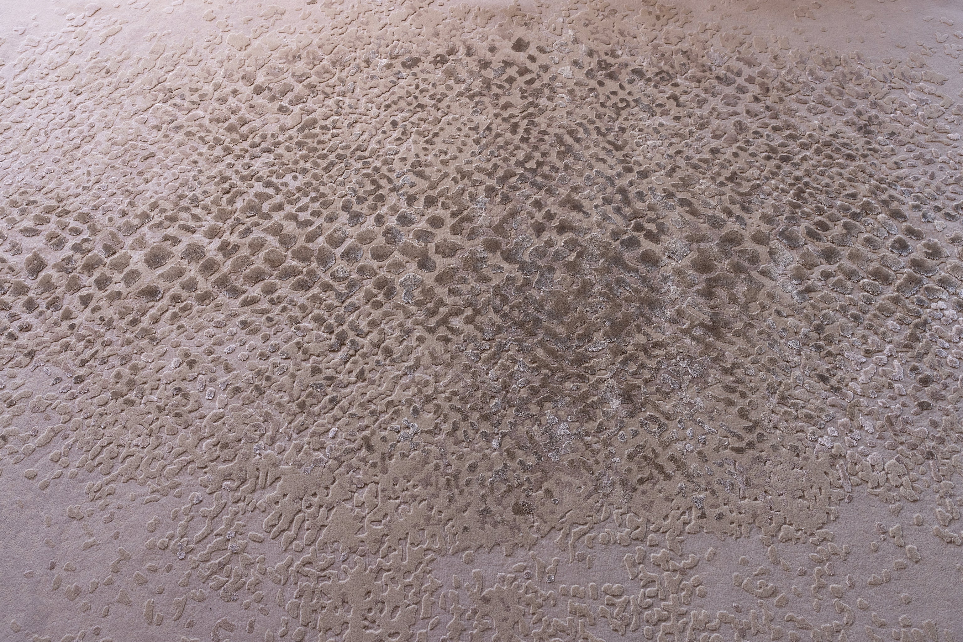 Fang - Image 5