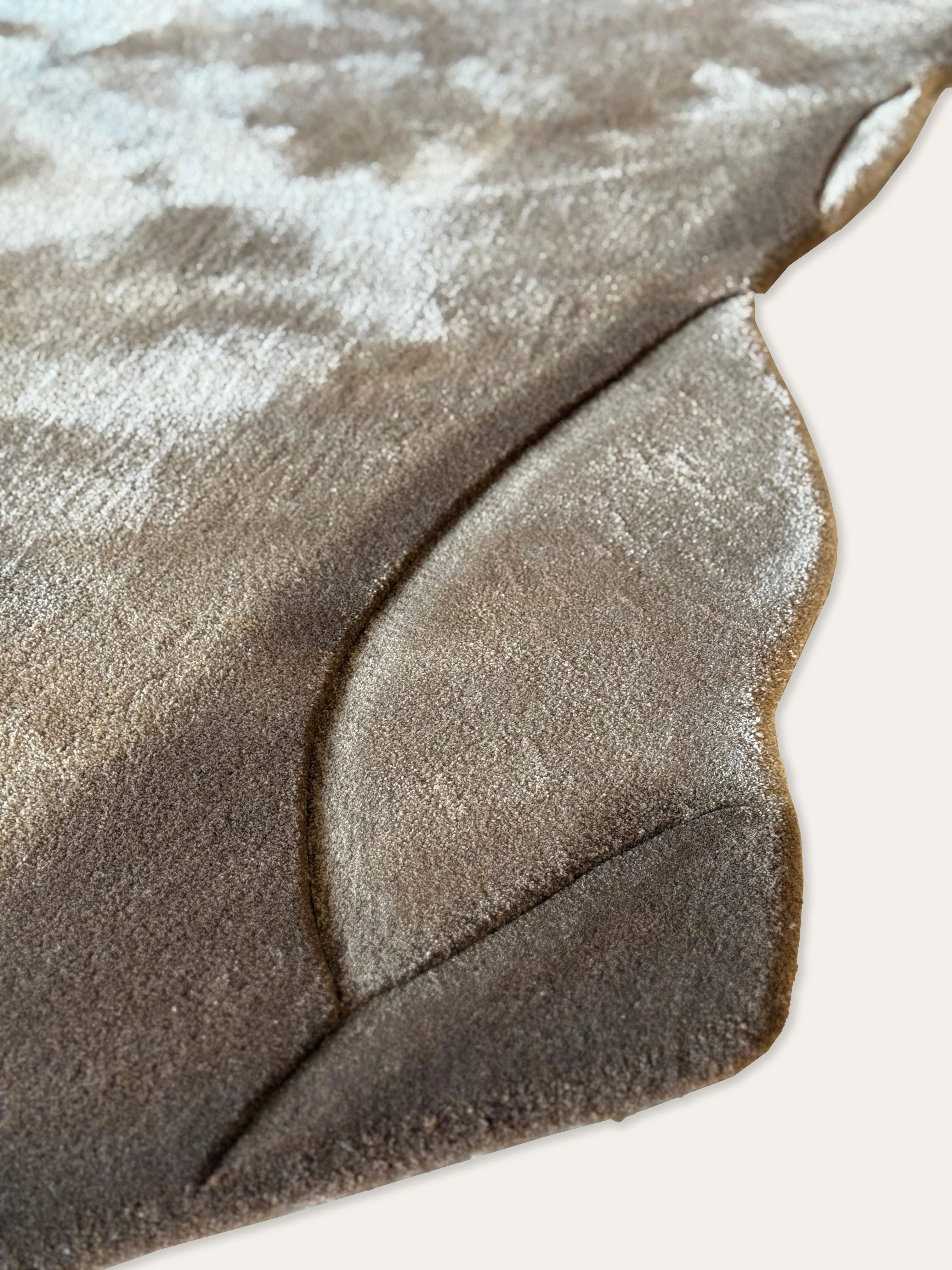 Gazelle - Image 4