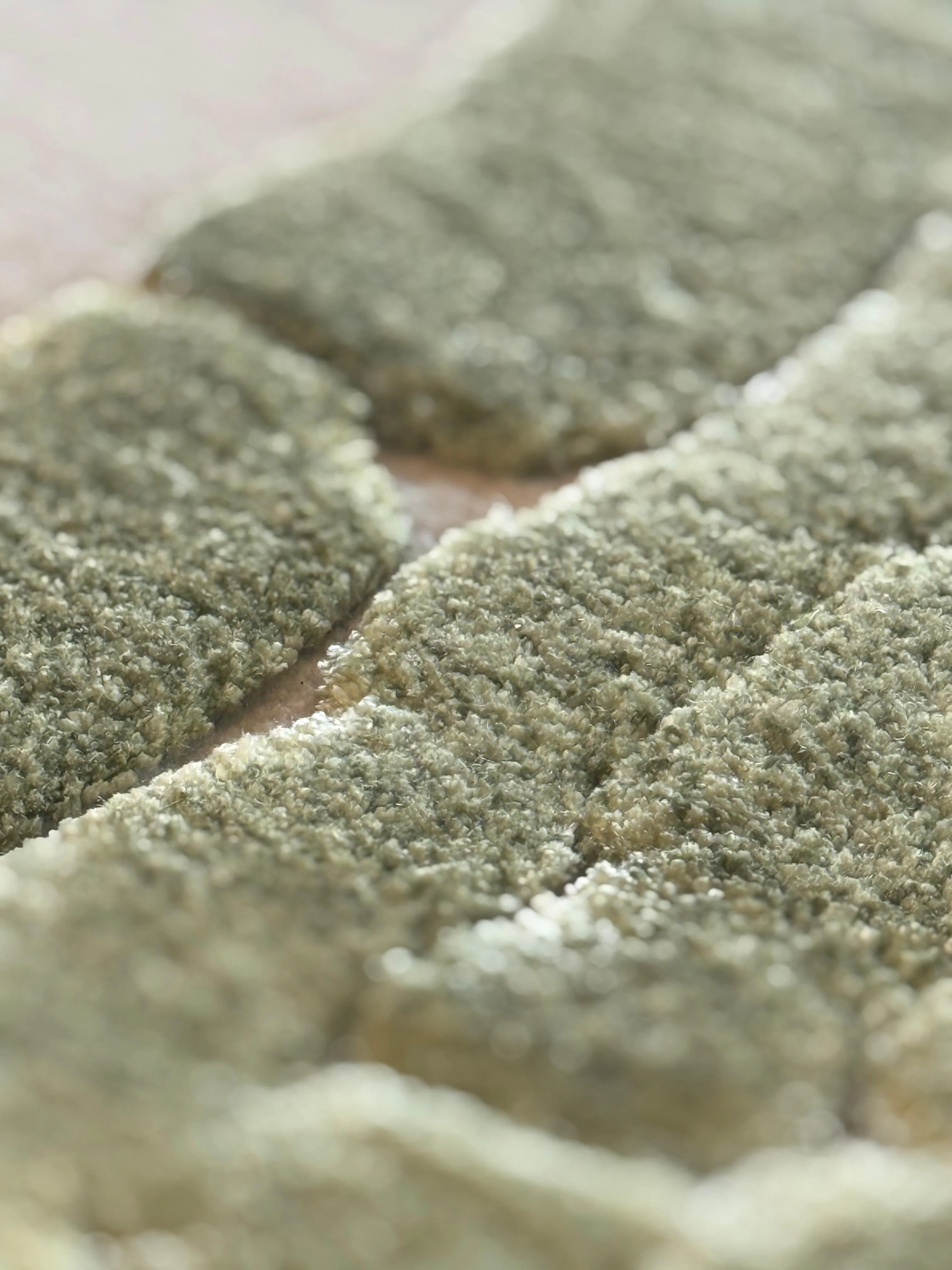 Moss - Image 11