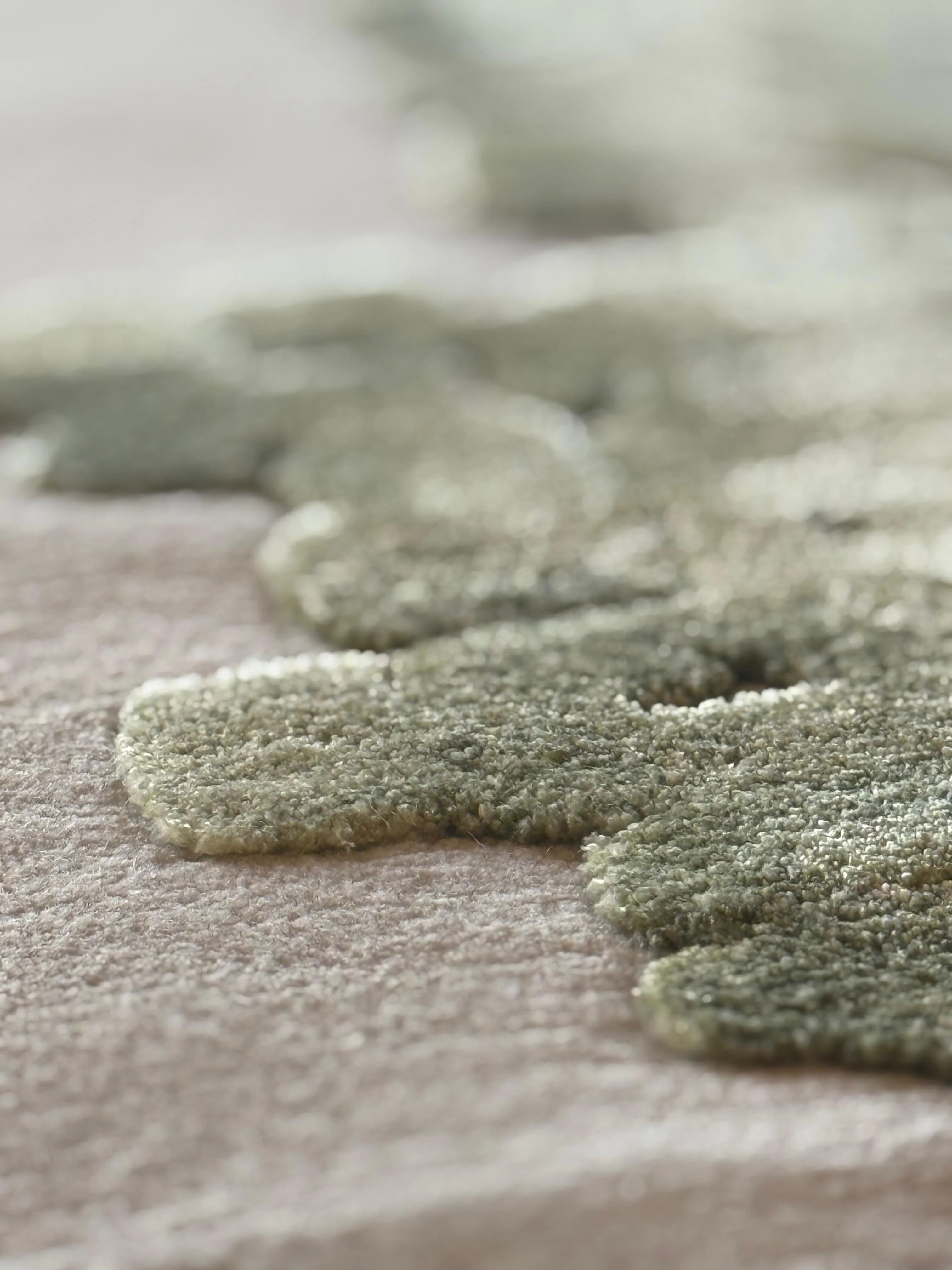 Moss - Image 12