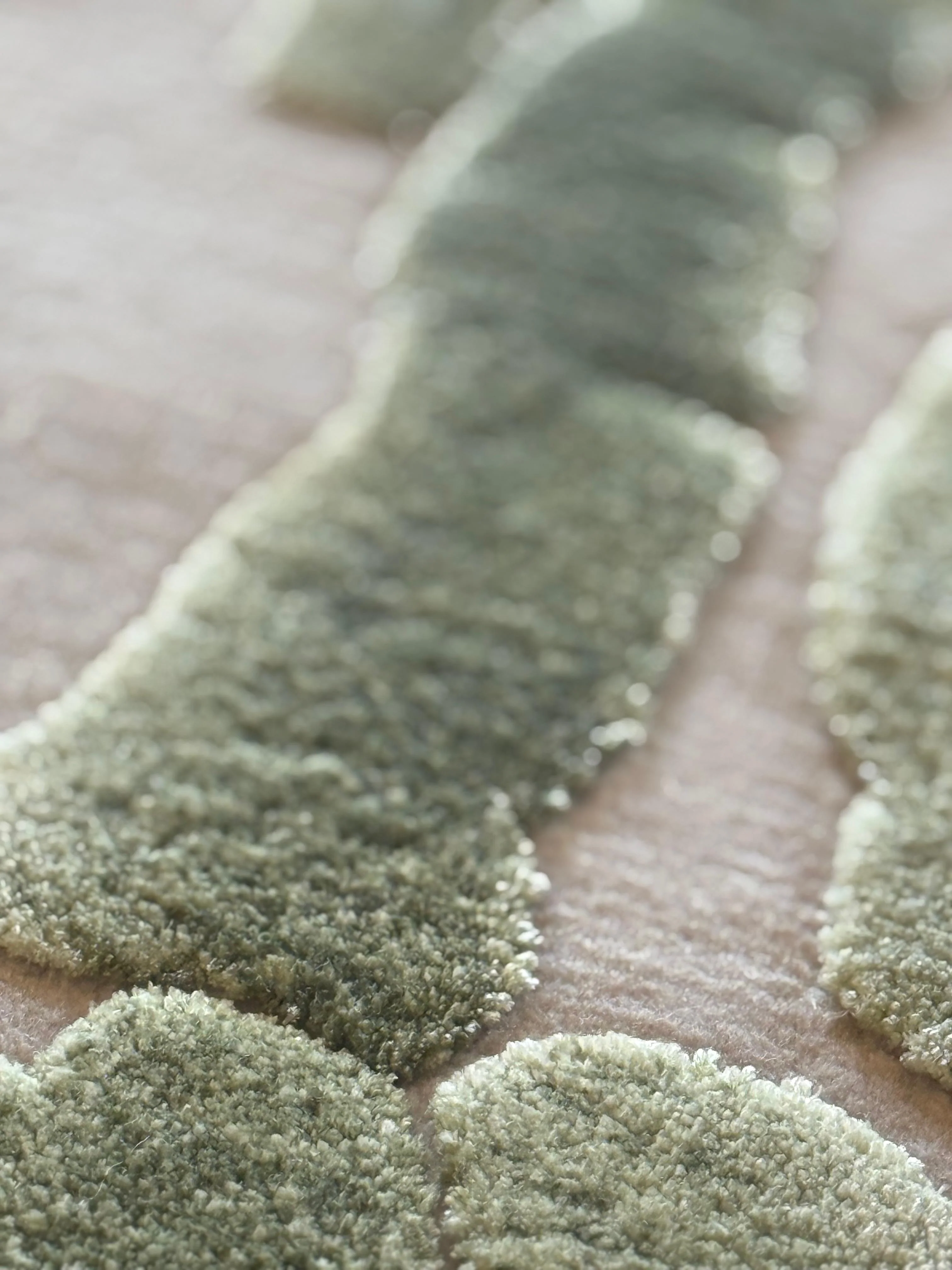 Moss - Image 3