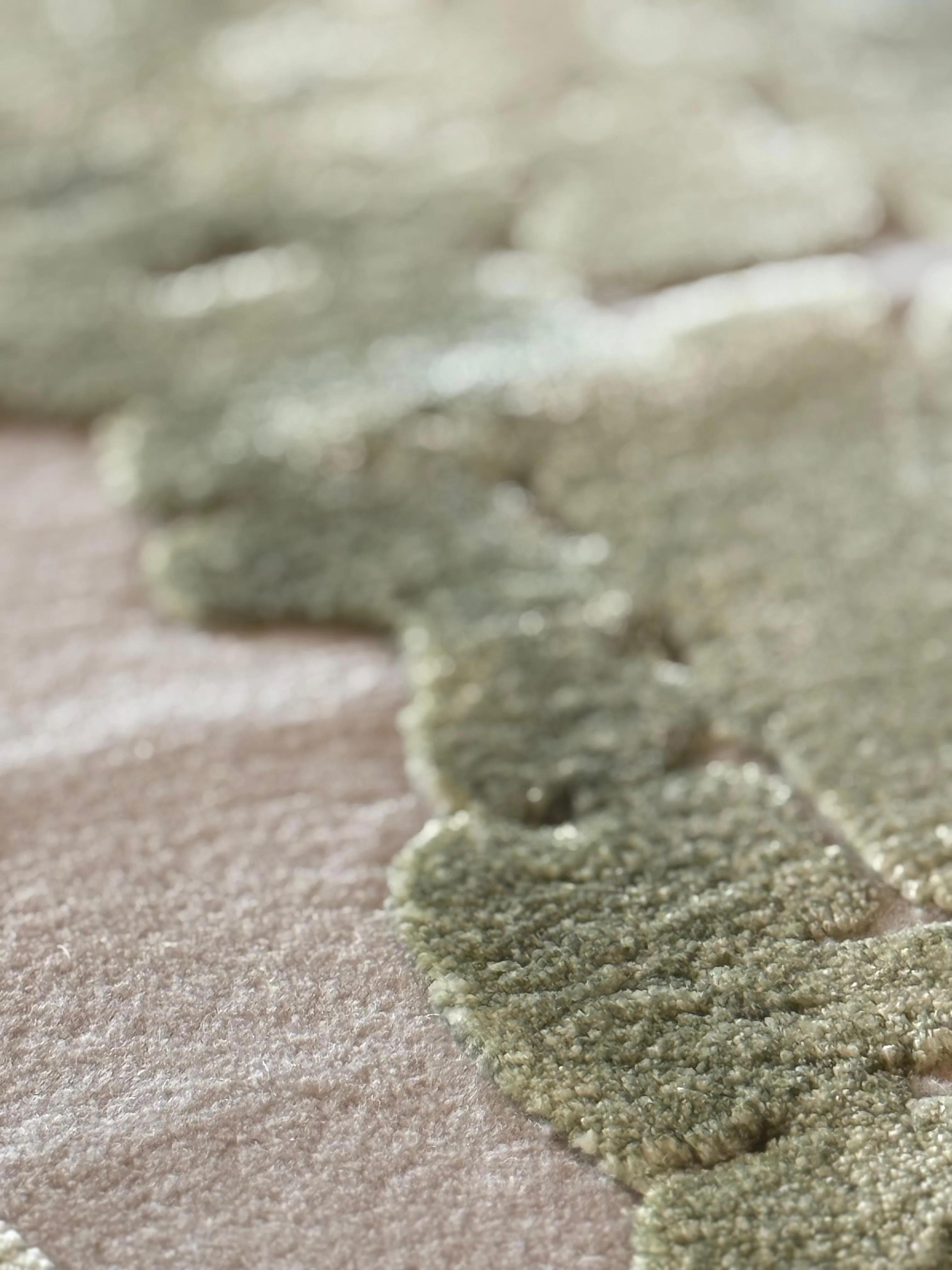 Moss - Image 6