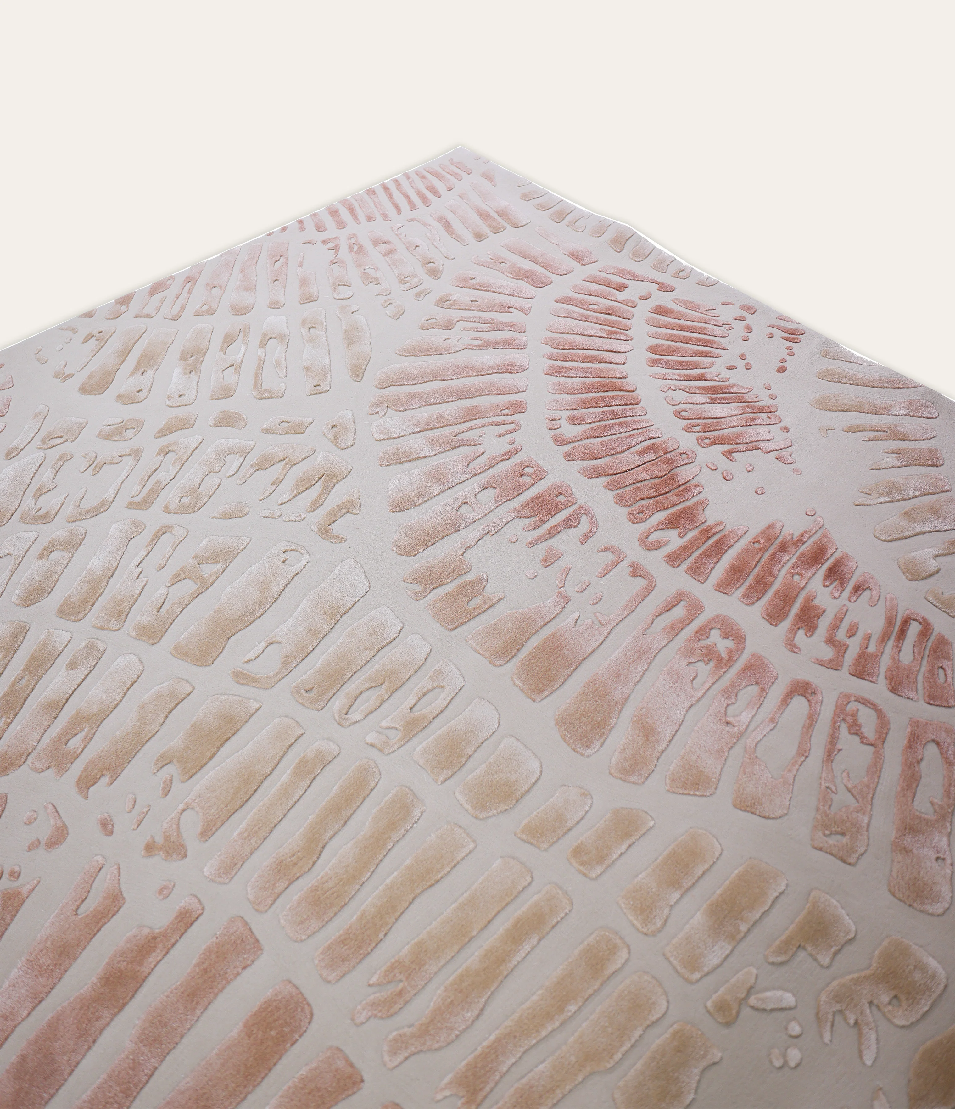 Reef - Image 5