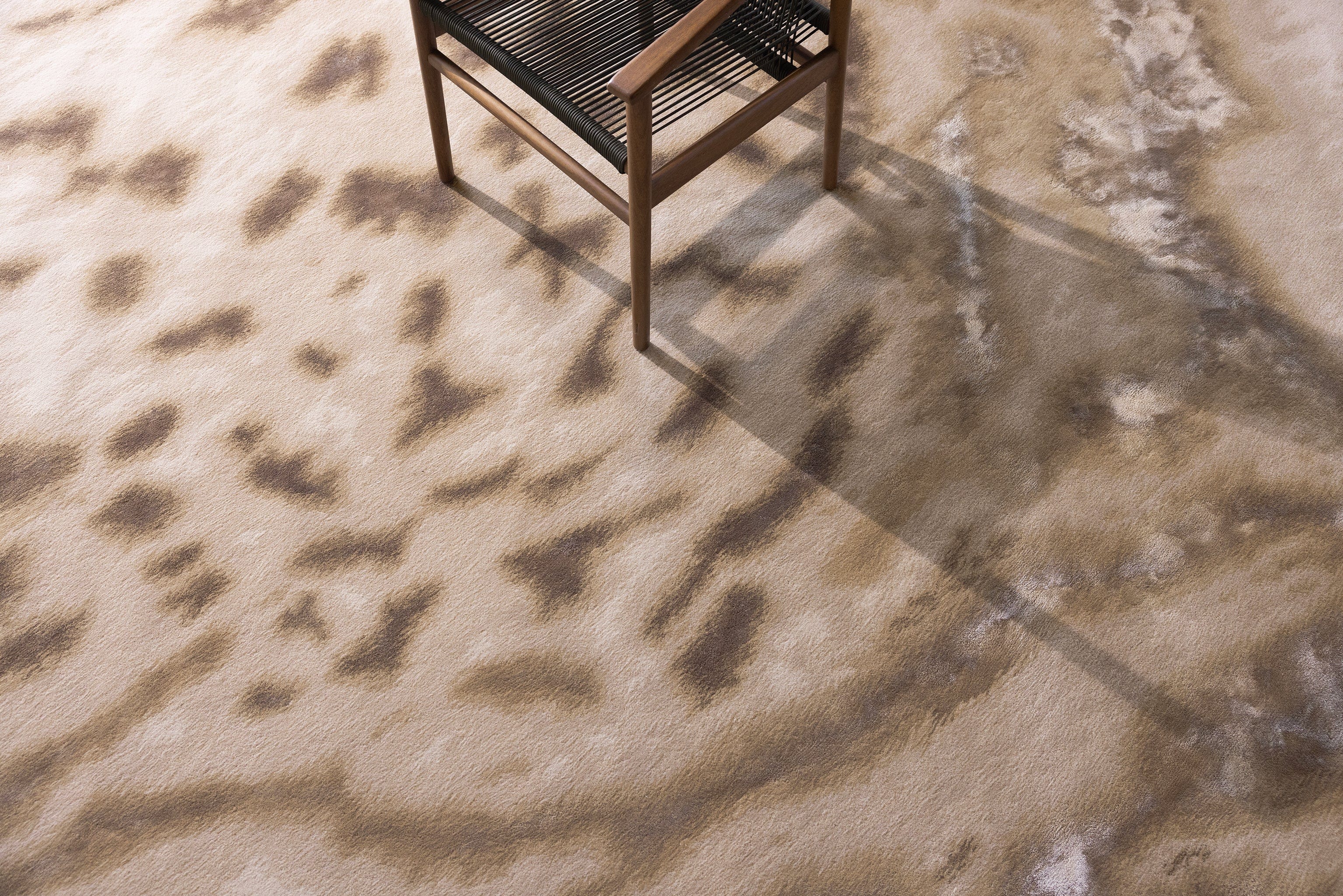 Roberto - Image 4