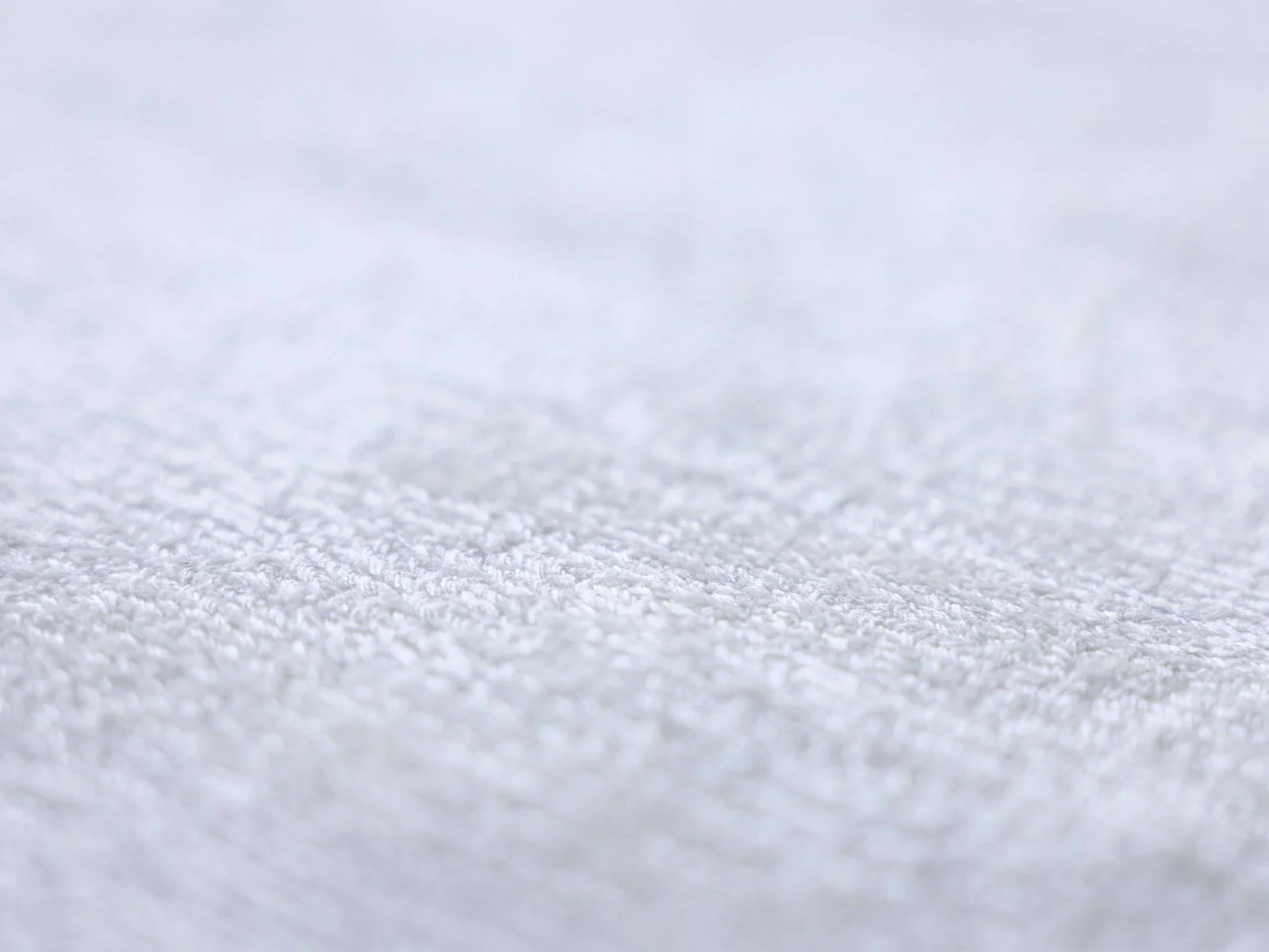 Tip Sheared (Snow White) - Image 4