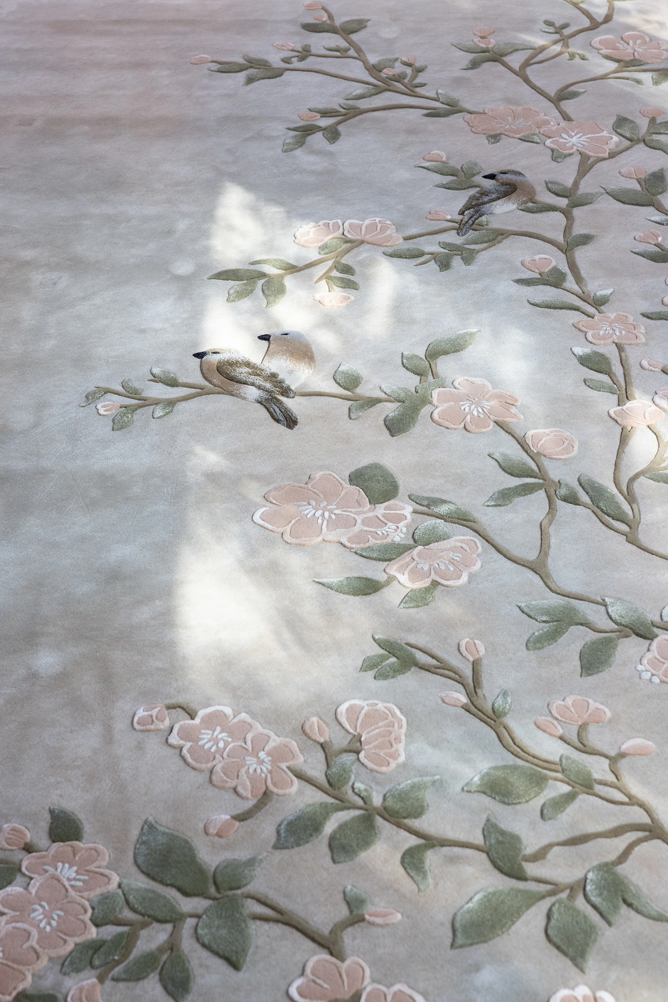 Zia (Sage) - Image 5